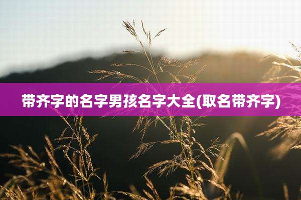 带齐字的名字男孩名字大全(取名带齐字)