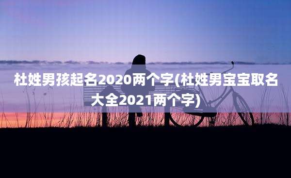 杜姓男孩起名2020两个字(杜姓男宝宝取名大全2021两个字)