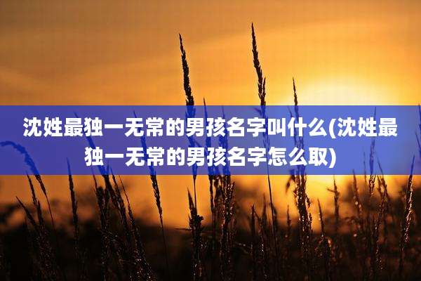 沈姓最独一无常的男孩名字叫什么(沈姓最独一无常的男孩名字怎么取)