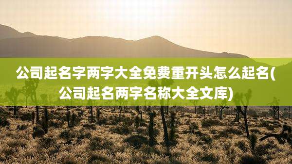 公司起名字两字大全免费重开头怎么起名(公司起名两字名称大全文库)