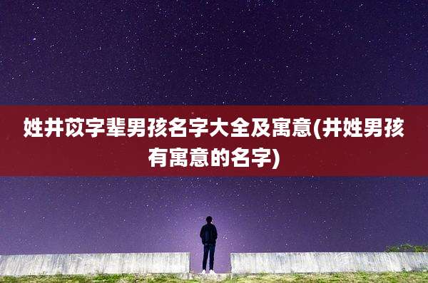 姓井苡字辈男孩名字大全及寓意(井姓男孩有寓意的名字)