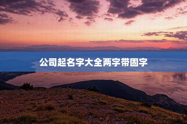公司起名字大全两字带固字