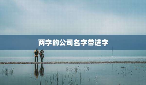 两字的公司名字带进字