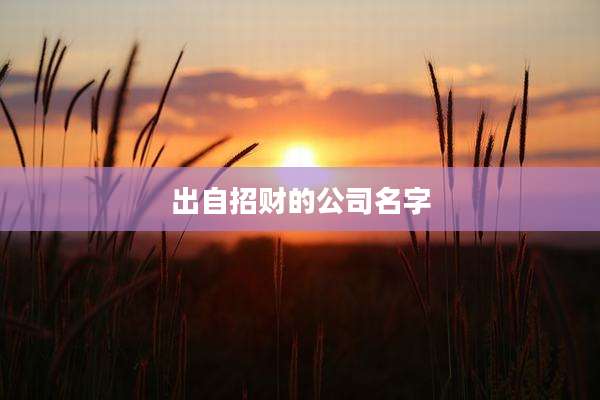 出自招财的公司名字
