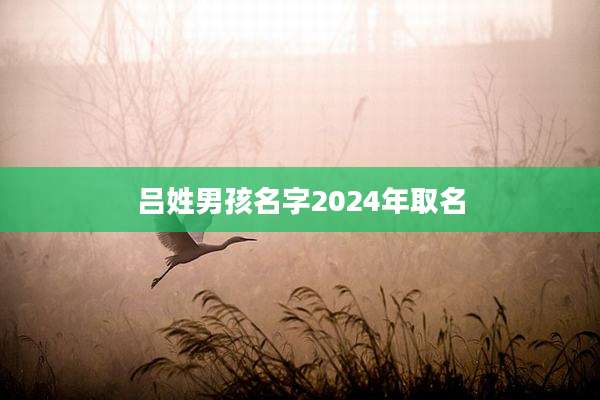 吕姓男孩名字2024年取名
