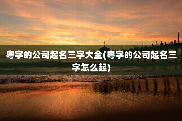 粤字的公司起名三字大全(粤字的公司起名三字怎么起)
