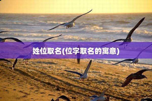 姓位取名(位字取名的寓意)