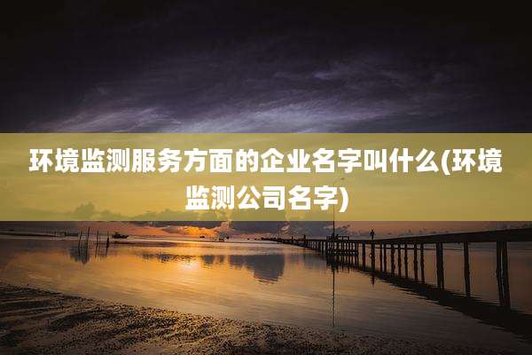 环境监测服务方面的企业名字叫什么(环境监测公司名字)