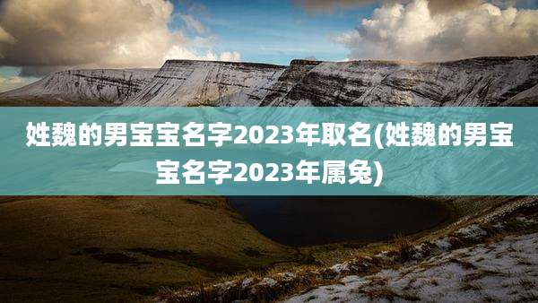 姓魏的男宝宝名字2023年取名(姓魏的男宝宝名字2023年属兔)