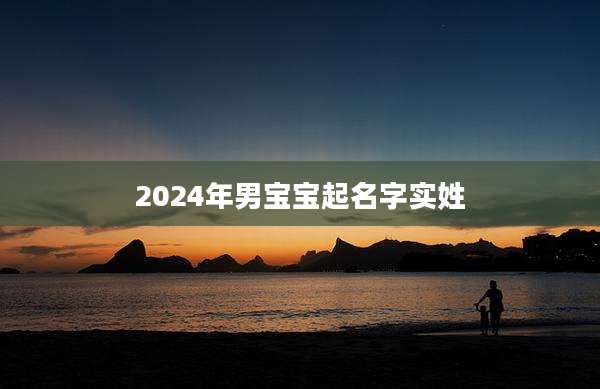 2024年男宝宝起名字实姓