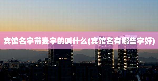 宾馆名字带麦字的叫什么(宾馆名有哪些字好)