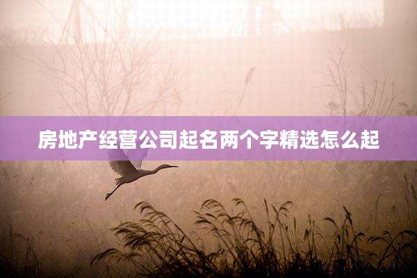房地产经营公司起名两个字精选怎么起