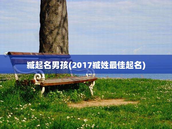 臧起名男孩(2017臧姓最佳起名)