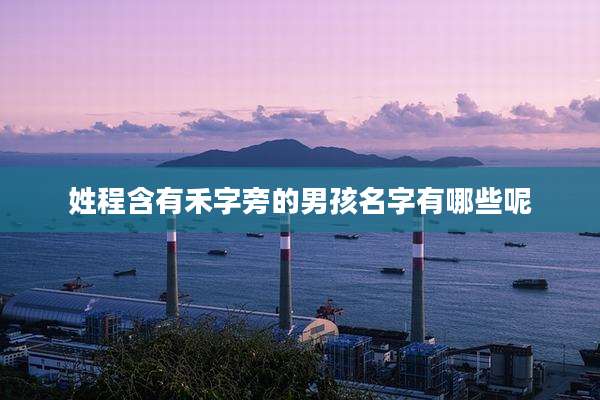 姓程含有禾字旁的男孩名字有哪些呢