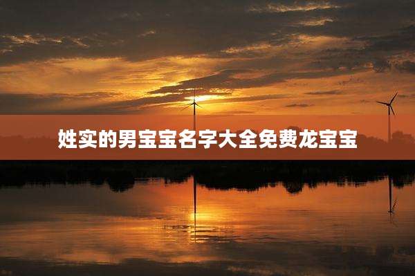姓实的男宝宝名字大全免费龙宝宝