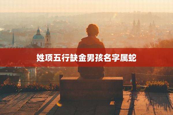 姓项五行缺金男孩名字属蛇
