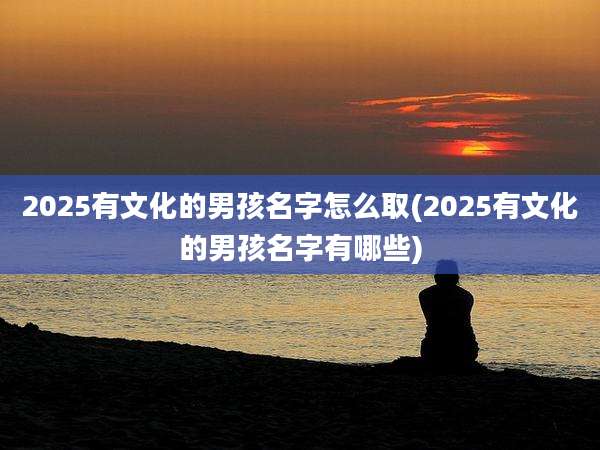 2025有文化的男孩名字怎么取(2025有文化的男孩名字有哪些)