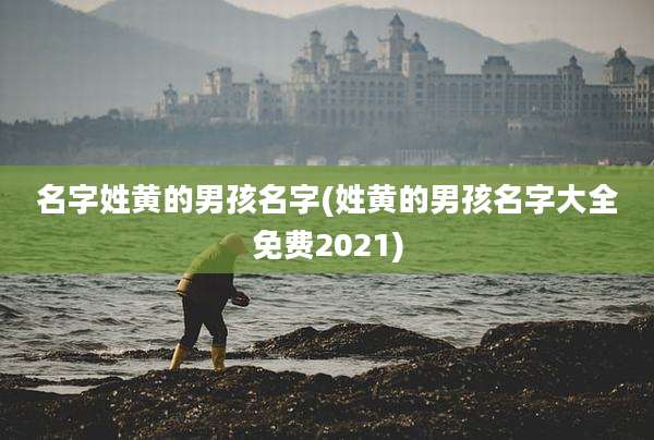 名字姓黄的男孩名字(姓黄的男孩名字大全免费2021)