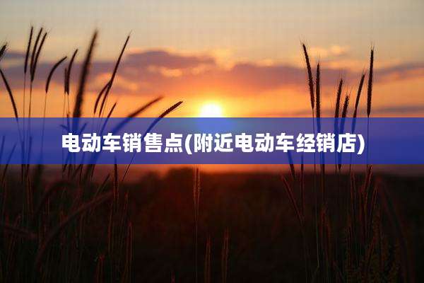 电动车销售点(附近电动车经销店)