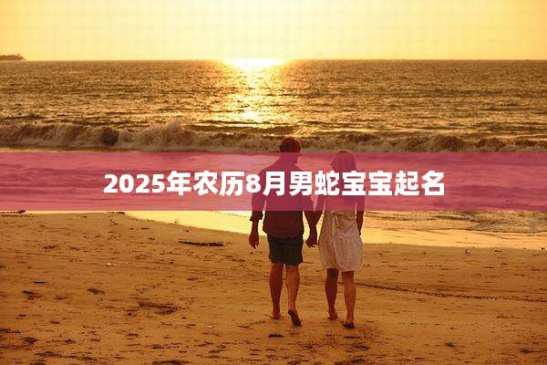 2025年农历8月男蛇宝宝起名