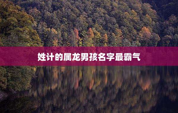姓计的属龙男孩名字最霸气