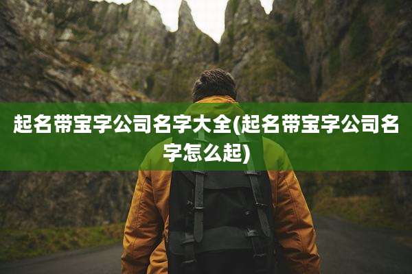 起名带宝字公司名字大全(起名带宝字公司名字怎么起)