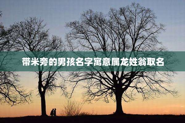 带米旁的男孩名字寓意属龙姓翁取名