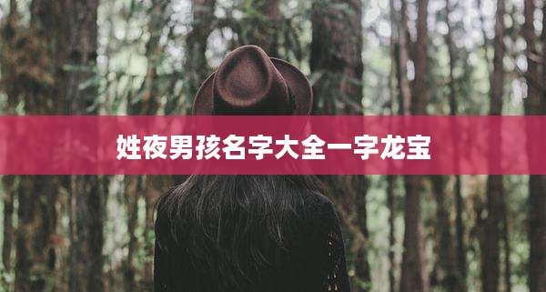 姓夜男孩名字大全一字龙宝