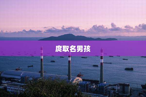 庹取名男孩