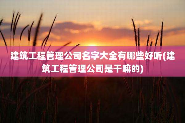 建筑工程管理公司名字大全有哪些好听(建筑工程管理公司是干嘛的)