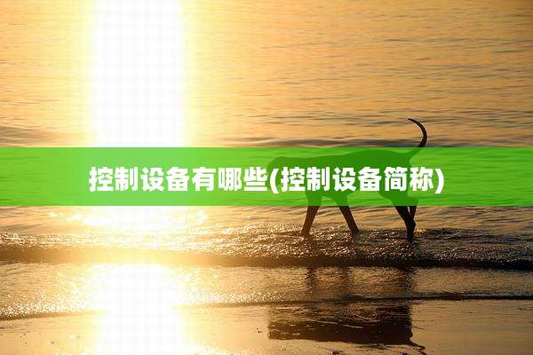 控制设备有哪些(控制设备简称)