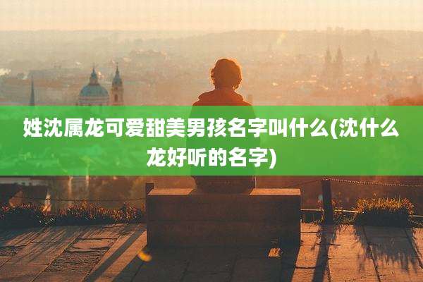 姓沈属龙可爱甜美男孩名字叫什么(沈什么龙好听的名字)