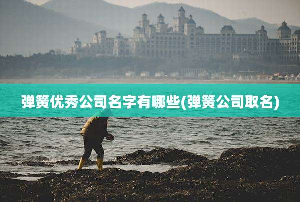弹簧优秀公司名字有哪些(弹簧公司取名)