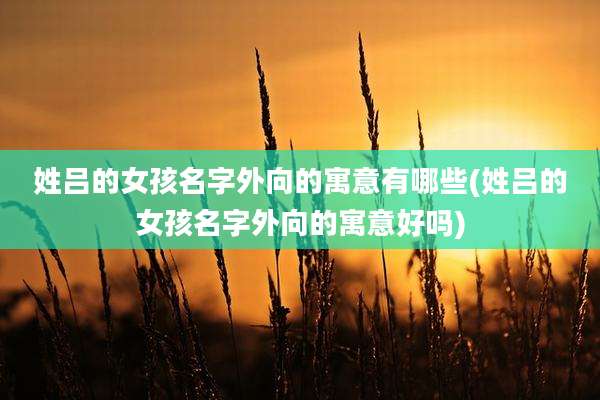 姓吕的女孩名字外向的寓意有哪些(姓吕的女孩名字外向的寓意好吗)