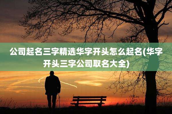 公司起名三字精选华字开头怎么起名(华字开头三字公司取名大全)