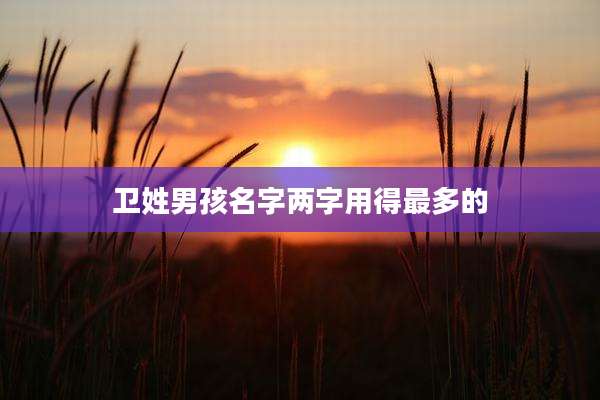 卫姓男孩名字两字用得最多的