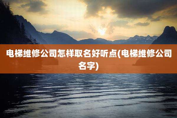 电梯维修公司怎样取名好听点(电梯维修公司名字)