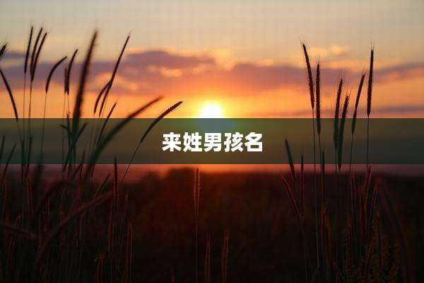来姓男孩名