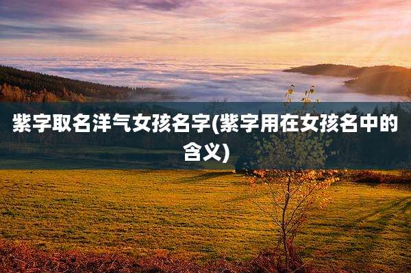紫字取名洋气女孩名字(紫字用在女孩名中的含义)