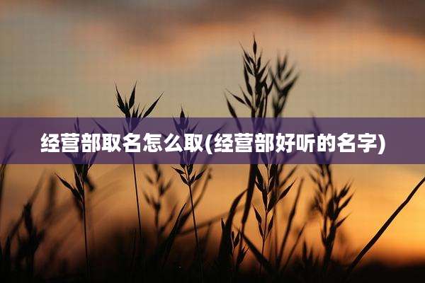 经营部取名怎么取(经营部好听的名字)
