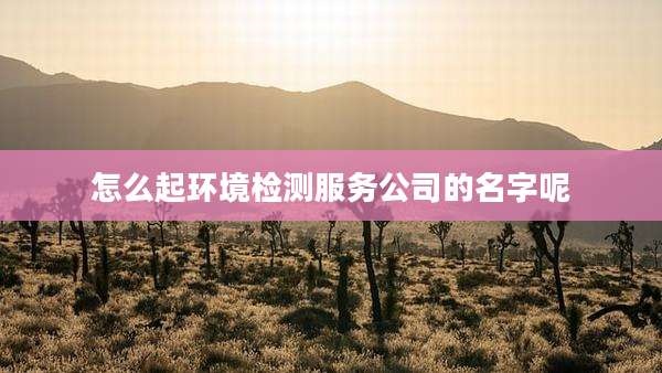 怎么起环境检测服务公司的名字呢