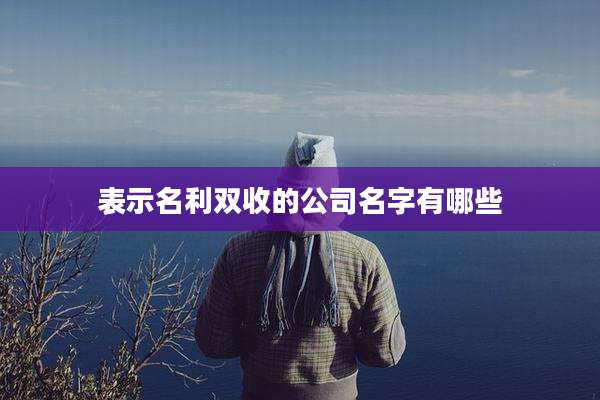 表示名利双收的公司名字有哪些