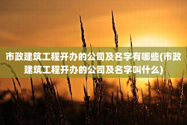 市政建筑工程开办的公司及名字有哪些(市政建筑工程开办的公司及名字叫什么)