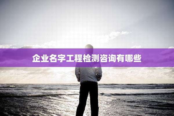 企业名字工程检测咨询有哪些