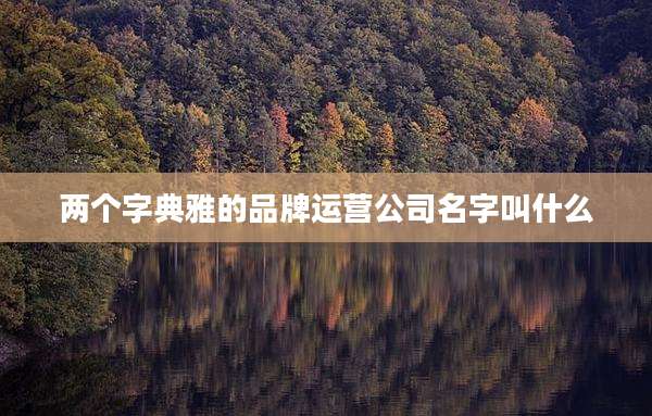 两个字典雅的品牌运营公司名字叫什么