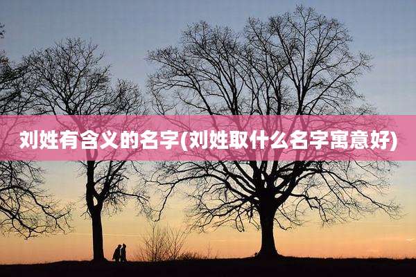 刘姓有含义的名字(刘姓取什么名字寓意好)