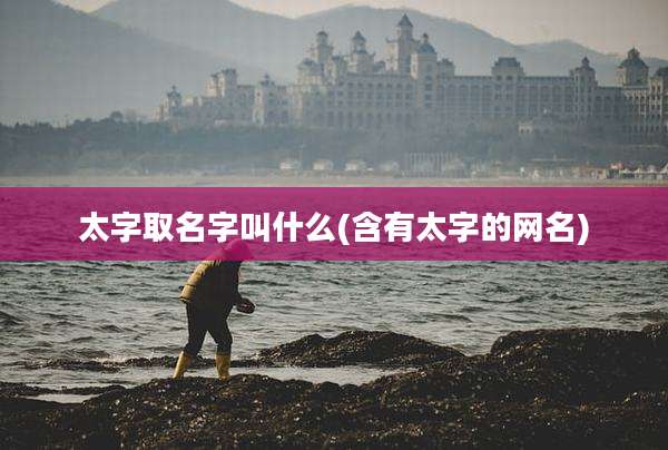 太字取名字叫什么(含有太字的网名)