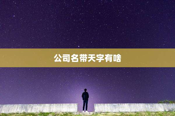 公司名带天字有啥