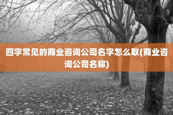 四字常见的商业咨询公司名字怎么取(商业咨询公司名称)