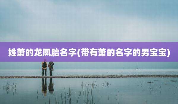 姓萧的龙凤胎名字(带有萧的名字的男宝宝)